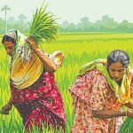 বাজার ও বৈশ্বিক রাজনীতির সঙ্গে গ্রামীণ নারীর লড়াই