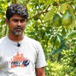 ১২০ বিঘার ফলবাগান গড়েছেন চুয়াডাঙ্গার সাদ্দাম, বছরে আয় ২ কোটি টাকা