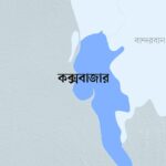 চা বানাতে গিয়ে দেখেন, রান্নাঘরে ফোঁস ফোঁস করছে ‘কিং কোবরা’