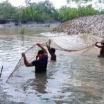 নীরব বসন্তের কালে অপরাধী ধরা যায়, ছোঁয়া যায় না